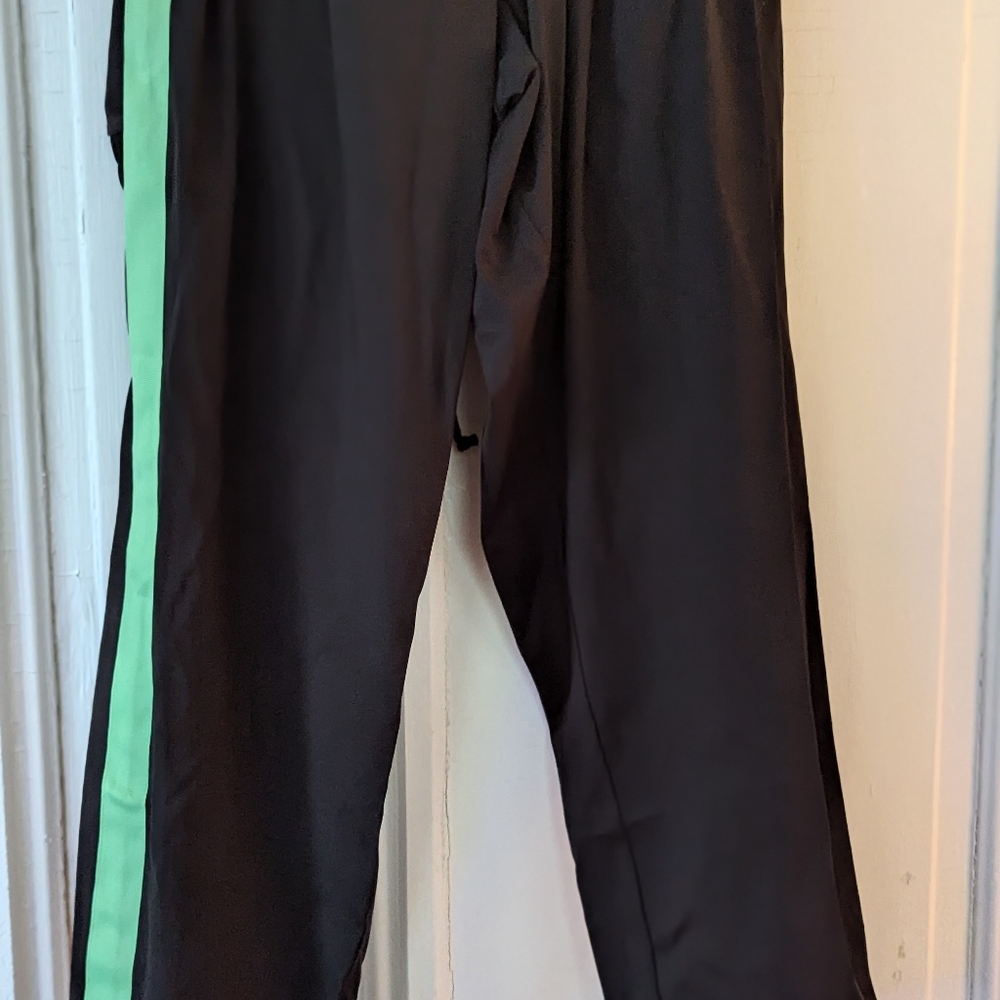 Ashro pants